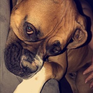 Meet your Posher, Kenneth